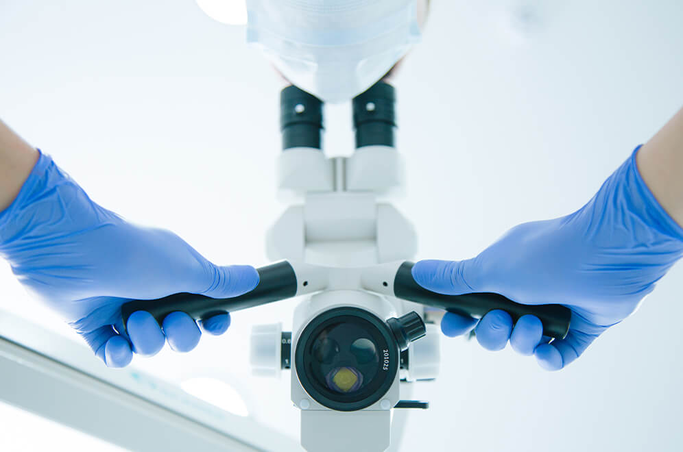 MVZ MediDent 147 GmbH/Endo 147, Berlin - Ein Mikroskop wird von zwei Händen, mit Latex Handschuhe gehalten